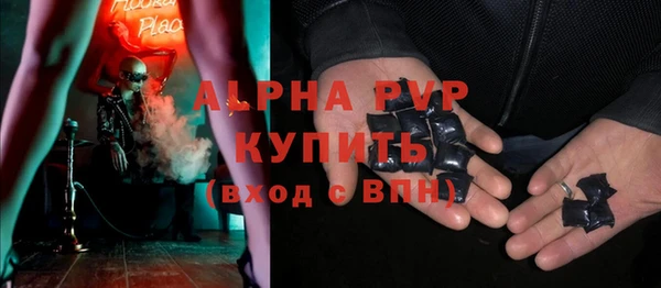 твердый Бородино