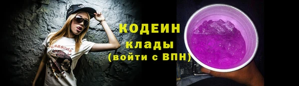 твердый Бородино