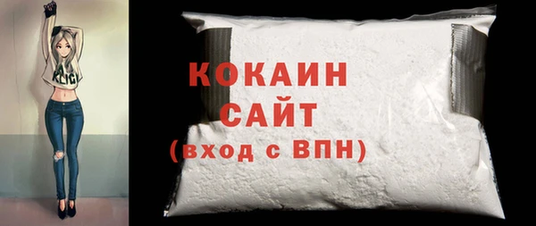 твердый Бородино