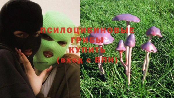 бошки Бугульма