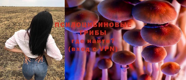 твердый Бородино