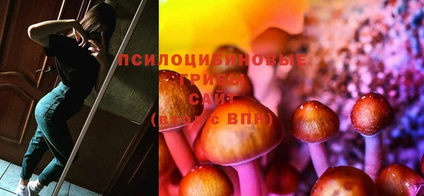 бошки Бугульма