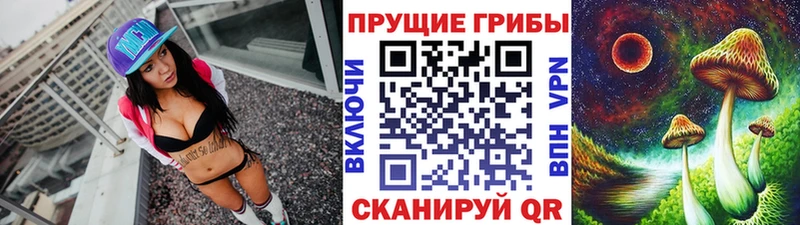 Купить  Верещагино  Галлюциногенные грибы Psilocybine cubensis 